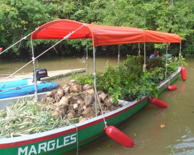 boat MARGLES